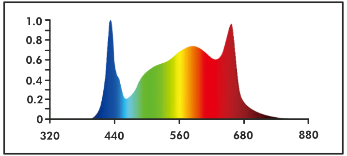 FX PRO 1000 spectrum diagram